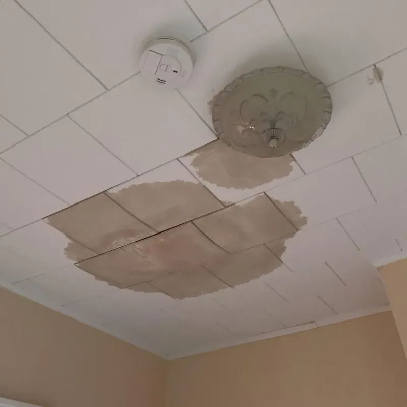 Ceiling Water Damage Repair in Irving, TX