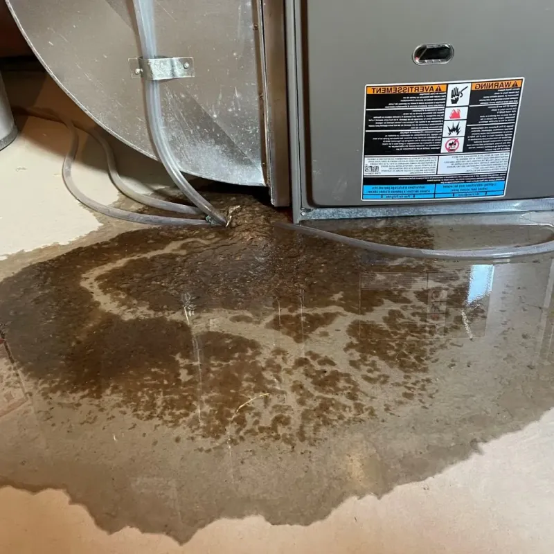 Pipe Burst and Leak Restoration in Irving, TX